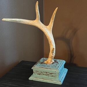 Rustic deer antler jewelry organizer on distressed turquoise colored wood base.